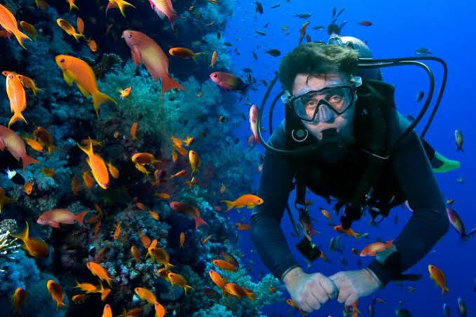 Diving Tour
